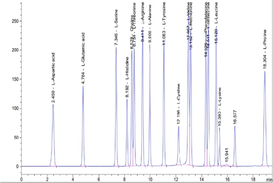Amino acid analysis chromatogram showing separated peaks