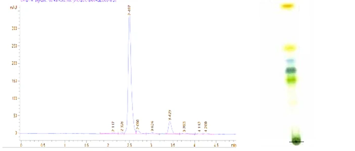 phyto