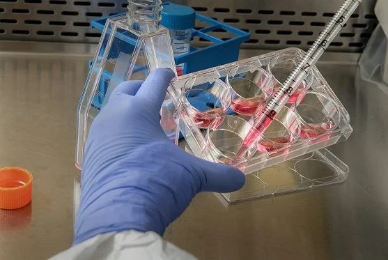 Analyst operating an HPLC instrument in the lab