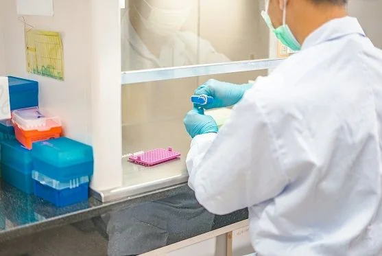 DNA Mutation Screening Assay