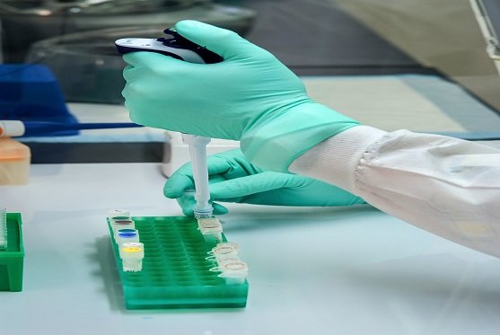 Biopsy Evaluation and Special Staining Services