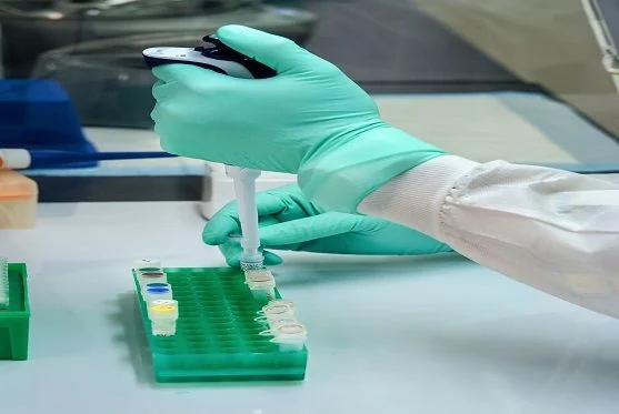 Custom Vector Construction and Gene Editing