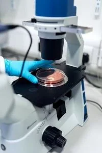 Technician examining a sample under a microscope