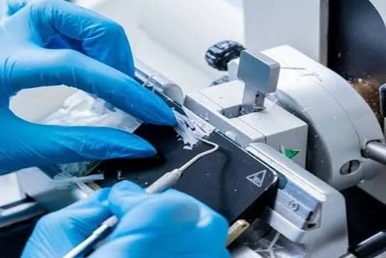 Technician preparing a tissue sample on a microtome