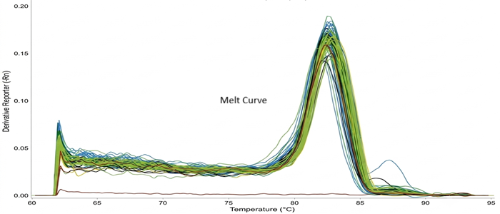 methylation