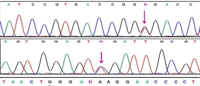 mutation