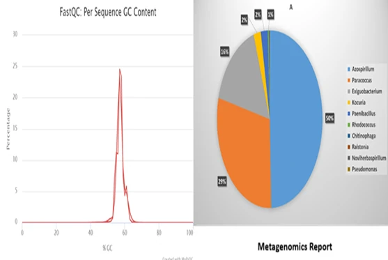 Next-generation sequencing library preparation in the lab