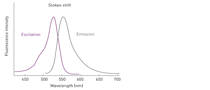 Mass spectrometry instrument used for protein identification